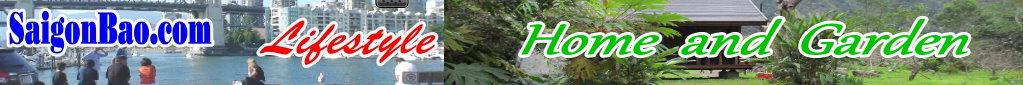 photography-banner