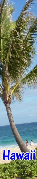 hawaii-honolulu